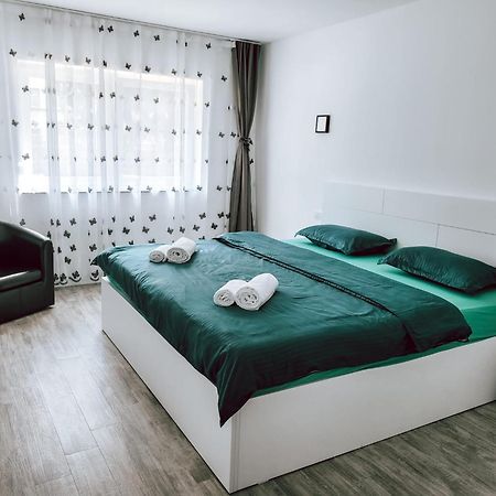 Cosy Apartment Făgăraş エクステリア 写真